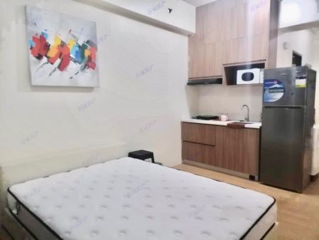 Fully Furnished Studio with Balcony near De La Salle Taft