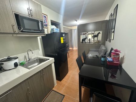 Newly furnished Studio Type For rent at One Oasis Cebu Condo